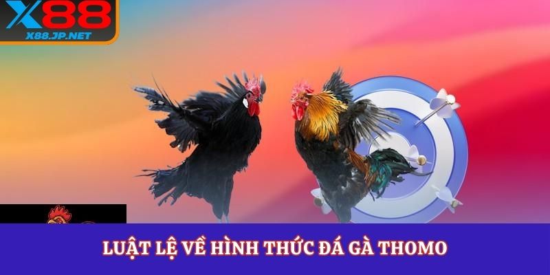 Luật lệ về hình thức đá gà thomo